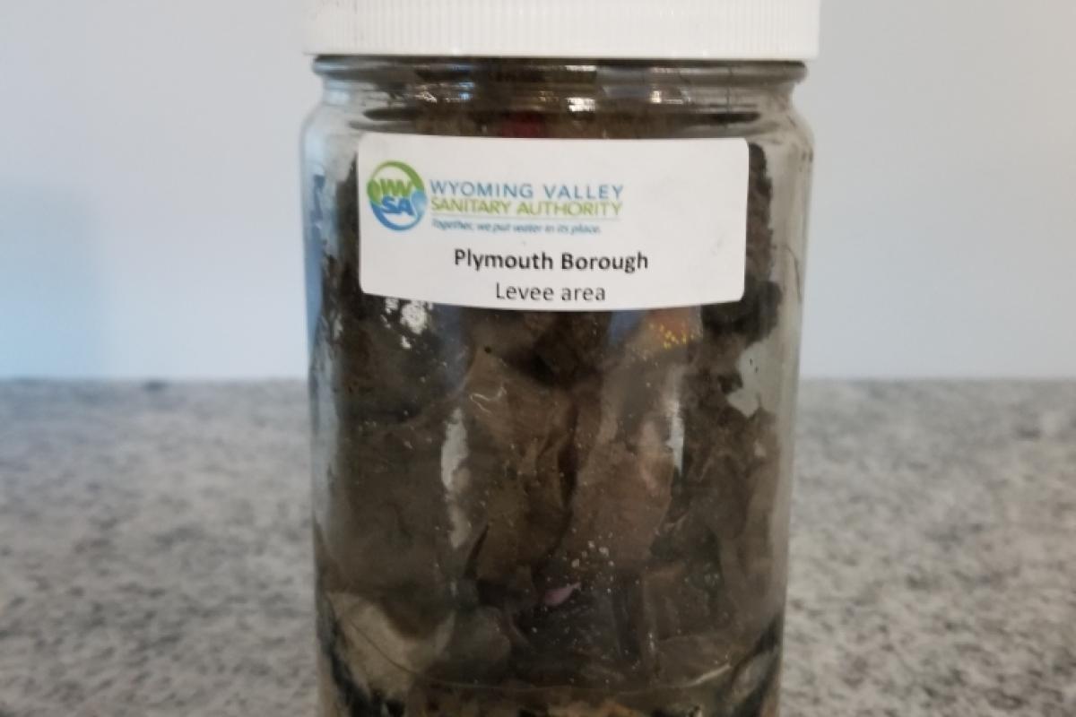 Plymouth Borough samples